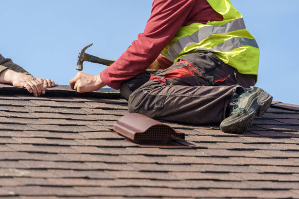 Roof Gutter Cleaning in Junction City, CA