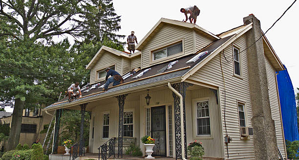 Best Roof Maintenance Services  in Junction City, CA